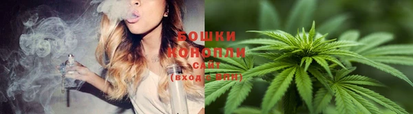 кокс Каменка