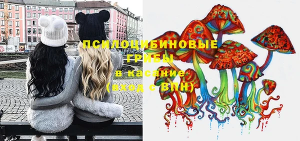 бутират Каменногорск