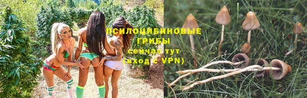 кокс Каменка