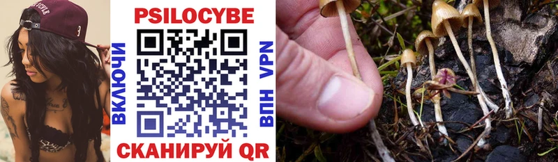 Псилоцибиновые грибы Cubensis  Купить закладки  Чаплыгин 