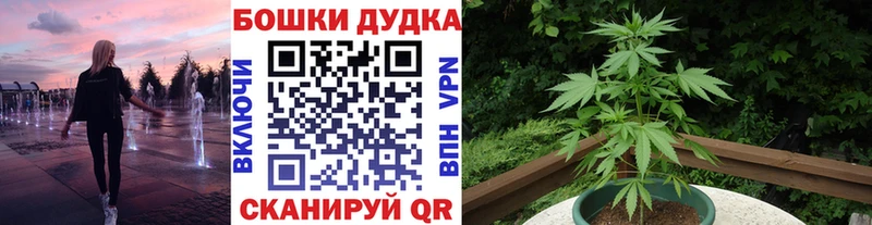 Конопля план Чаплыгин