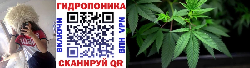 Купить где Чаплыгин Конопля семена